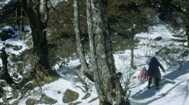 2023“中國夢 新征程”展播丨  一掌雪